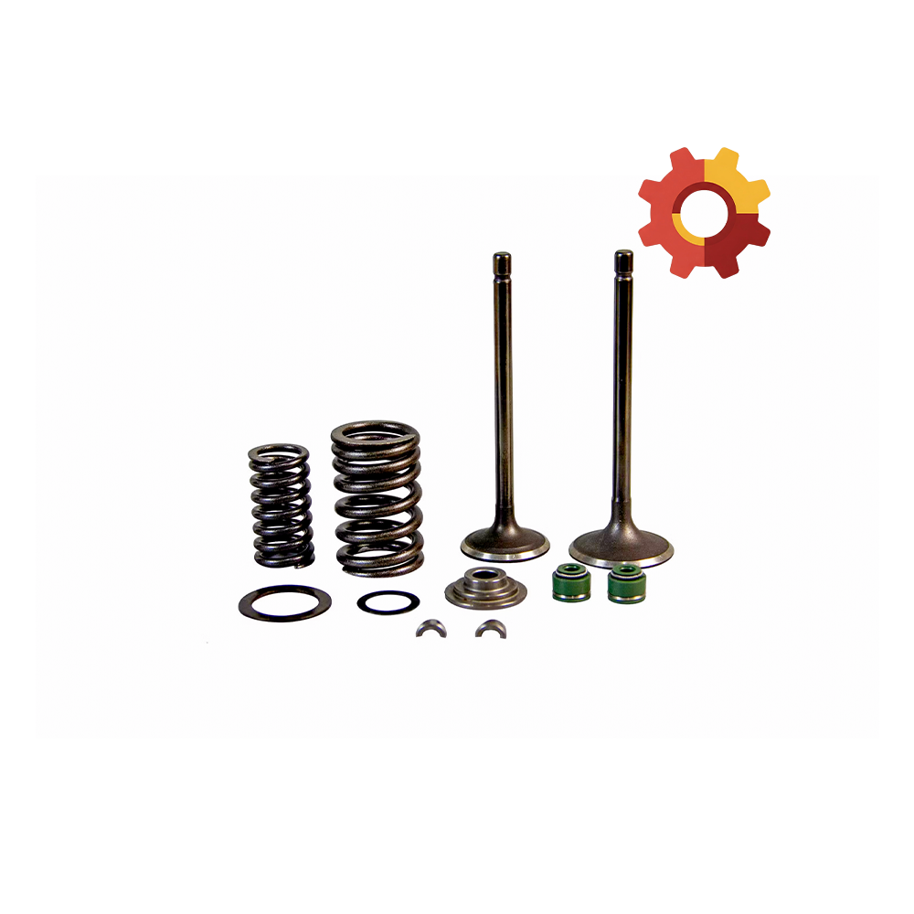 Engine Valve TVS King Og